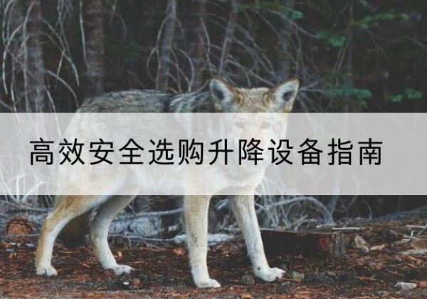 富阳升降货梯厂家推荐-*安全选购升降设备指南