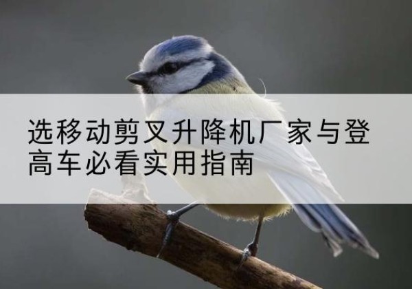 富阳电动升降机厂家-选移动剪叉升降机厂家与登高车必看实用指南