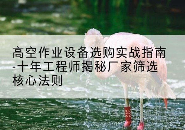 富阳剪叉式升降机厂家-高空作业设备选购实战指南-十年工程师揭秘厂家筛选核心法则